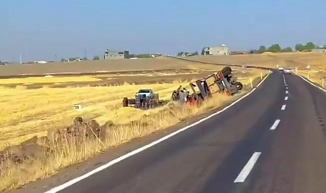 Urfa’da domates yüklü kamyon şarampole devrildi!