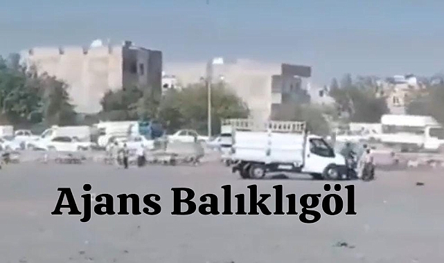 Urfa'da hayvan pazarında silahlı kavga! Yaralılar var