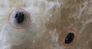 Urfa'da mide bulandıran olay Kaymakamlık harekete geçti