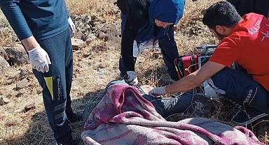 Urfa'da TIR'a arkadan çarpan otomobilin sürücüsü öldü