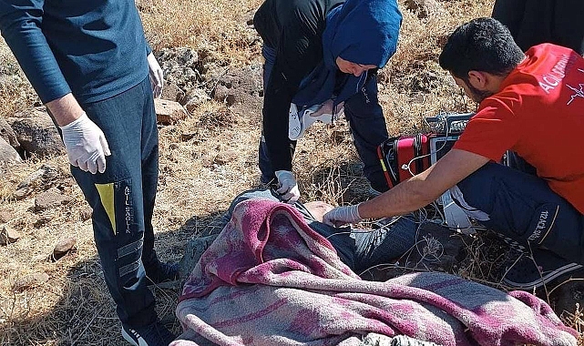 Urfa'da TIR'a arkadan çarpan otomobilin sürücüsü öldü