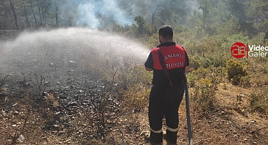 Urfa İtfaiyesi Hatay'daki orman yangınında görev aldı