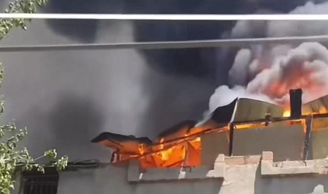 Urfa’nın ilçesinde korkutan yangın! 