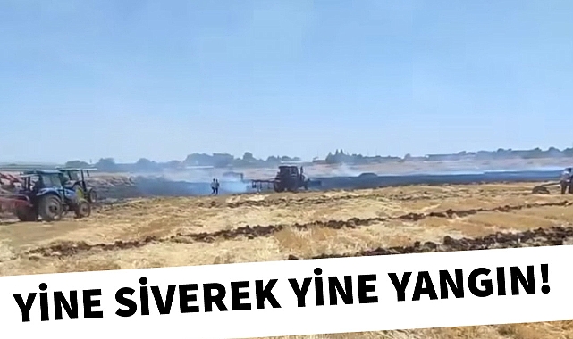 Yine Siverek, yine arazi yangını!