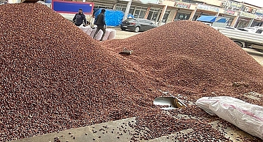 Antep Fıstığı fiyatı yükseldi! İşte yeni fiyat