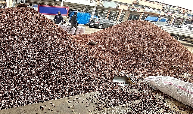Antep Fıstığı fiyatı yükseldi! İşte yeni fiyat