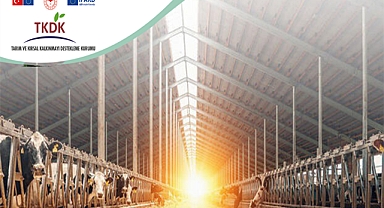 Bakan Açıkladı! 20 milyon avro hibe desteği sağlanacak