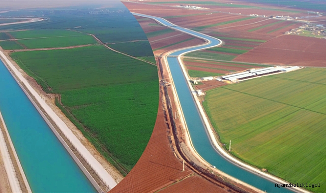 Bakan Yumaklı: Mardin-Ceylanpınar ana kanalı üretimimizi şaha kaldıracak