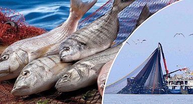 Bakanlıktan yasa dışı avcılık denetimi 