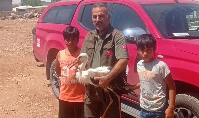 Bitkin halde bulunan leylek tedavi altına alındı