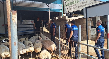 Büyükşehir zabıta’dan kaçak kesim uyarısı
