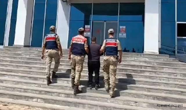 Firari 59 göçmen kaçakçılığı organizatörü yakalandı