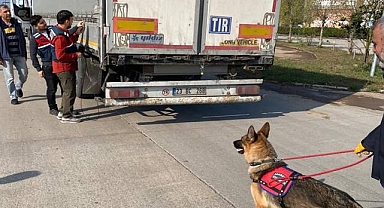 Göçmen kaçaklığı operasyonu! 39 organizatör yakalandı