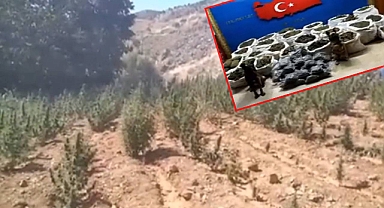Narkoterör operasyonu! 36,4 milyar TL yasa dışı gelir engellendi