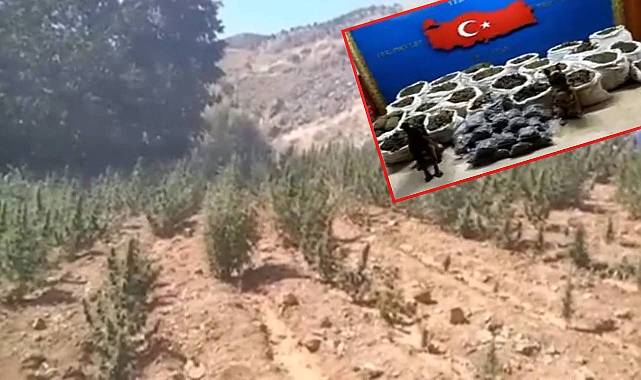 Narkoterör operasyonu! 36,4 milyar TL yasa dışı gelir engellendi