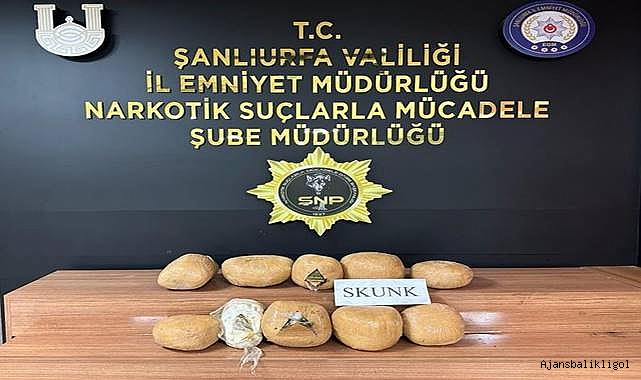 Şanlıurfa'da durdurulan araçta skunk ele geçirildi