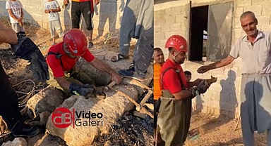 Şanlıurfa itfaiyesi kedi için yer altına indi