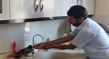 Sıcaktan bunalan güvercin müftülük binasına sığındı