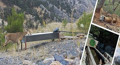 Tarım ve Orman Bakanlığı yaban hayvanlarına can suyu oluyor