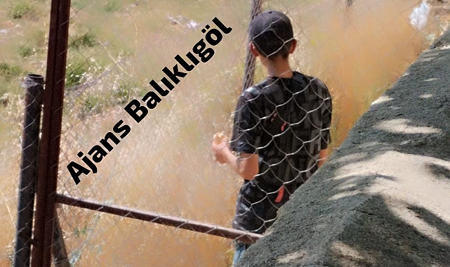 Tır'dan atlayarak kaçan mültecilerin izi bulundu