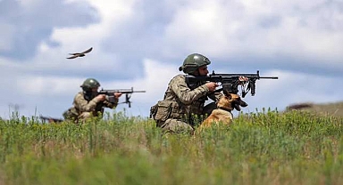 Türkiye’ye yasa dışı yollarla geçmeye çalışan 12 kişi yakalandı