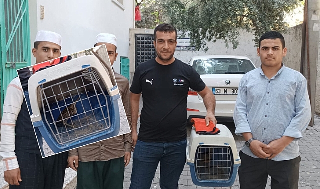 Urfa'da bulunan Balaban Kuşu korumaya alındı