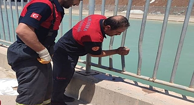 Urfa'da sulama kanalında kadın cesedi bulundu