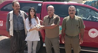 Urfa’da yaralı halde bulunan Peçeli Baykuş, koruma altına alındı