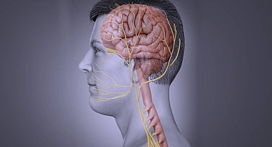 Vagus sinir stimülasyonu obeziteye yardımcı olabilir mi?