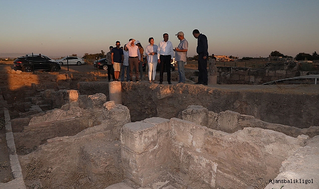 Vali Şıldak, tarihî Harran bölgesinde incelemelerde bulundu