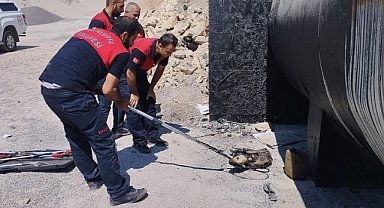 Yavru köpeğin imdadına itfaiye ekipleri yetişti 