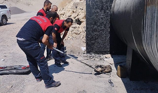 Yavru köpeğin imdadına itfaiye ekipleri yetişti