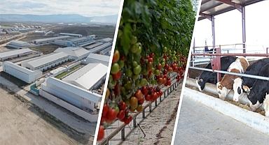 Bakan Yumaklı: Sera OTB sayısını 100'e çıkarmayı hedefliyoruz