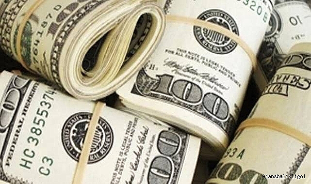 Dolar kuru kaç TL'den işlem gördü?