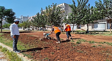 Eyyübiye parklarında sonbahar çalışması