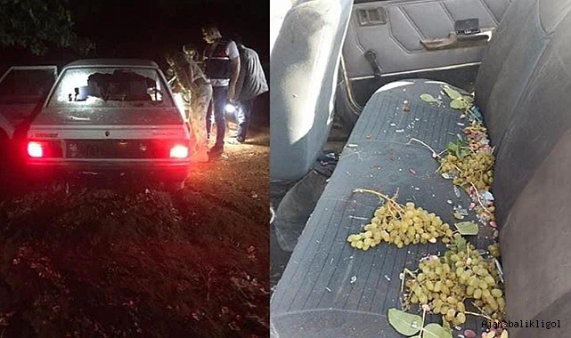 Fıstık bahçesine giren hırsızlara meydan dayağı