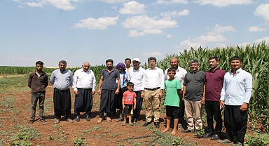 HÜDA PAR: Mısır üreticileri zararda