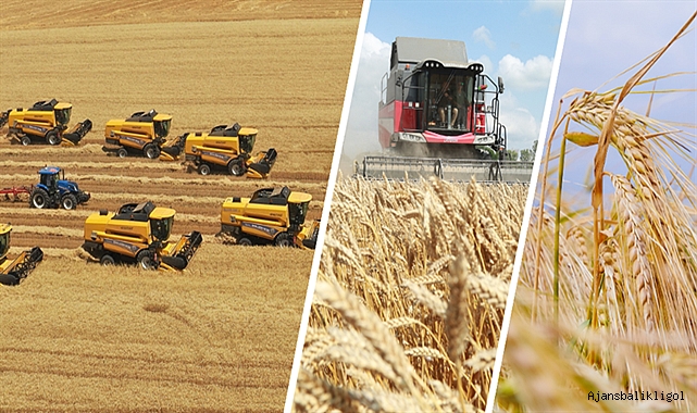 TİGEM işletmelerinden hasat rekoru