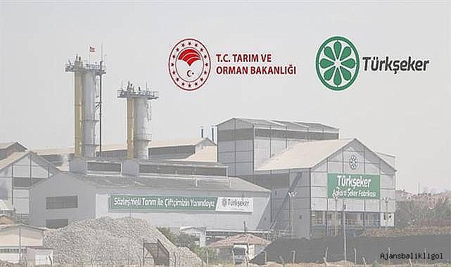 Türkiye Şeker Fabrikaları 613 işçi alacak! İşte detaylar