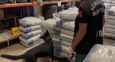 Türkiye'ye giriş yapmak üzere olan TIR'da kilolarca eroin ele geçirildi 