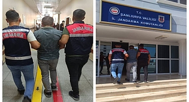 Urfa'da firari şahıs jandarma tarafından kıskıvrak yakalandı 