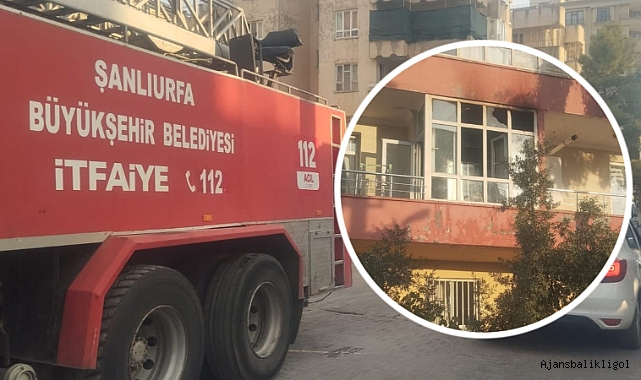 Urfa'da korkutan yangın! Çok sayıda ekip sevk edildi