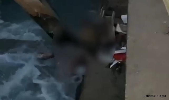 Urfa'da sulama kanalında ceset bulundu