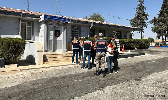 Urfa ve Antep'te fıstık hırsızlığı yapan çete yakalandı!