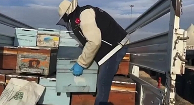 Arı kovanlarında uyuşturucu sevkiyatı