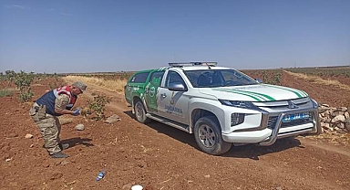 Ayağı kırık halde bulunan yavru köpek tedavi altına alındı