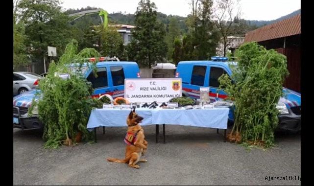 İçişleri Bakanı tek tek açıkladı! 190 zehir taciri paket edildi