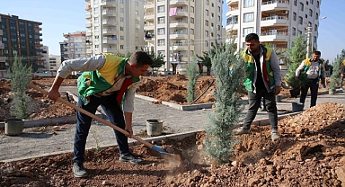 Karaköprü’de yeni parklar ağaçlandırılıyor