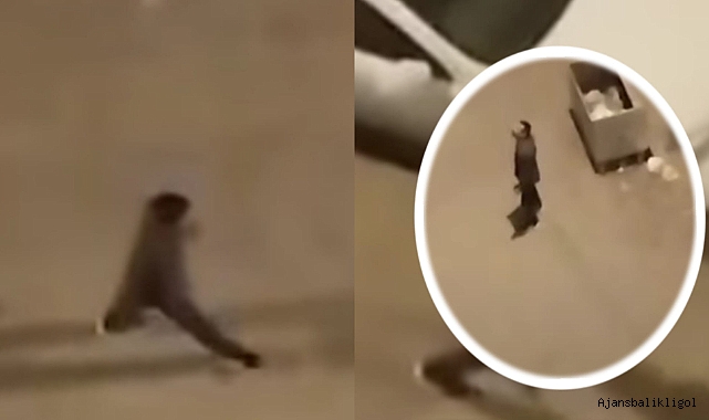 Siverek'te gergin dakikalar! Rastgele ateş etti