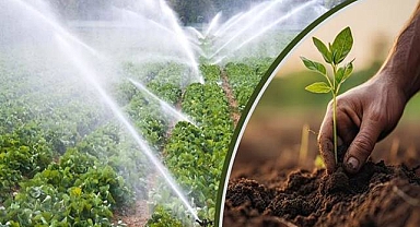 Tarımsal destekleme ödemesi bugün hesaplara aktarılıyor